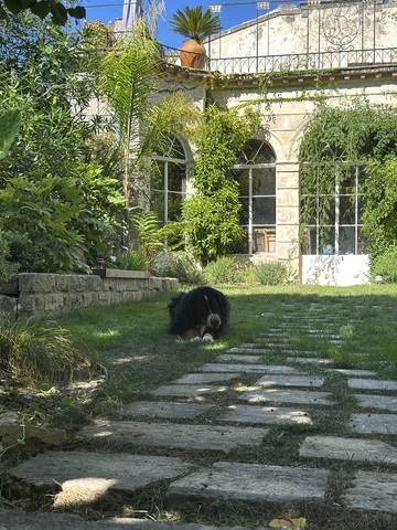 À deux pas du Pérou - Montpellier 
